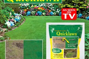 Quick Lawn Reviews: For Rich, Velvety Greens All Year Round