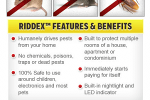 Riddex Plus Reviews: Do It Yourself Pest Control System